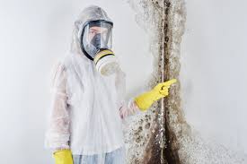 Why You Should Choose Our Mold Remediation Services in Blair, WI